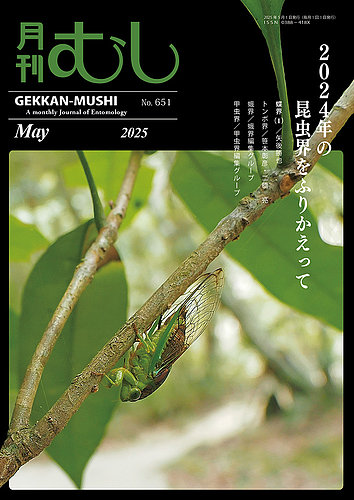 月刊むしの最新号【651 (発売日2025年04月24日)】| 雑誌/定期