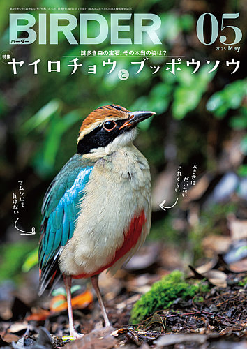 BIRDER（バーダー）の最新号【2025年5月号 (発売日2025年04月16