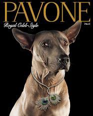 PAVONE（パボーネ） Vol.1 (発売日2007年04月11日) 表紙
