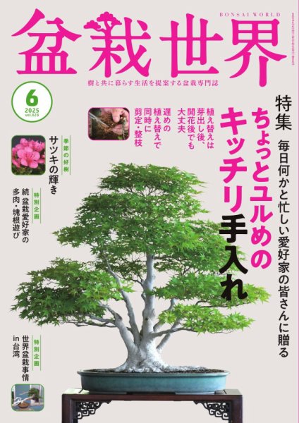盆栽世界 2025年6月号 (発売日2025年05月07日) 表紙