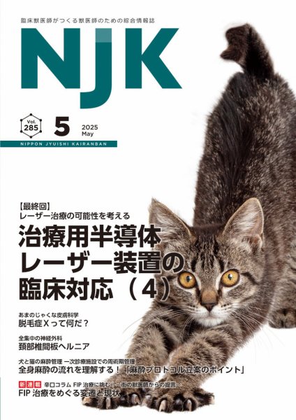 NJK Vol.285 (発売日2025年05月01日) 表紙