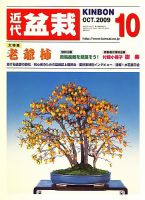 月刊 近代盆栽 表紙