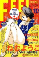 フィールヤング 表紙