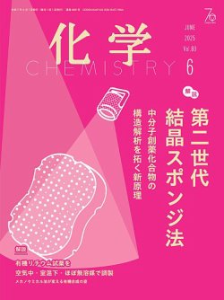 貸本文化 12冊セット 貸本文化研究会会誌
