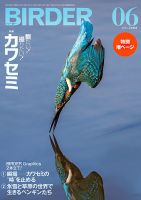 BIRDER（バーダー） 2025年6月号 (発売日2025年05月16日) 表紙