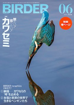 BIRDER（バーダー） 2025年6月号 (発売日2025年05月16日) 表紙