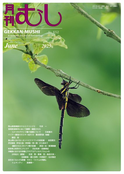 日本の月刊誌コレクション 月刊むし 652 (発売日2025年05月26日) | 雑誌/定期購読の予約はFujisan