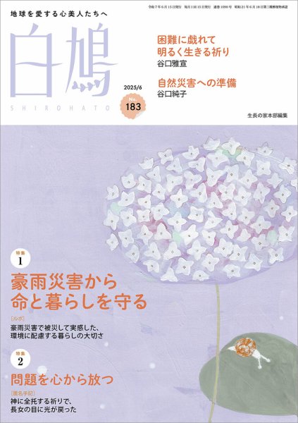 白鳩 No.183 (発売日2025年05月20日) 表紙