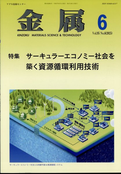金属 2025年6月号 (発売日2025年05月28日) 表紙