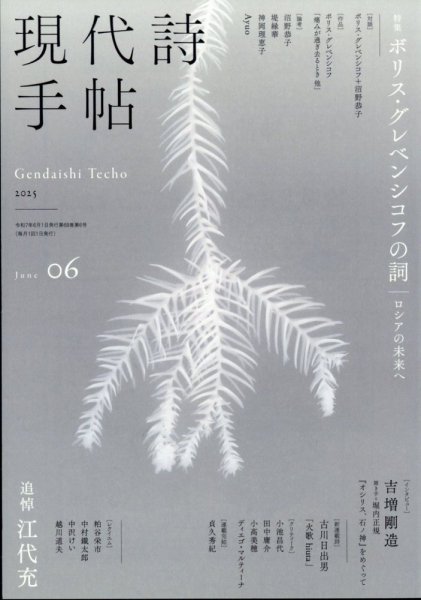 現代詩手帖 2025年6月号 (発売日2025年05月28日) 表紙