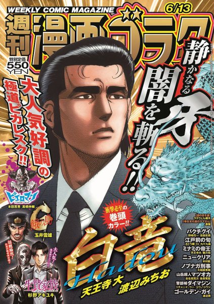 週刊漫画ゴラク 2025年6/13号 (発売日2025年05月30日) 表紙