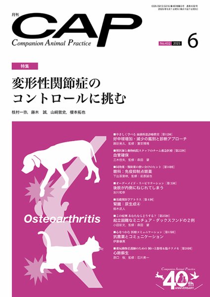 月刊CAP 2025年6月号 (発売日2025年06月01日) 表紙