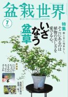 盆栽世界のバックナンバー | 雑誌/電子書籍/定期購読の予約はFujisan