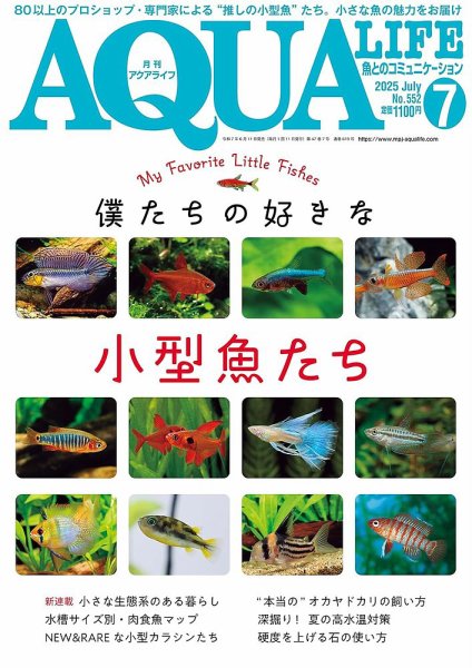 アクアライフ 7月号 (発売日2025年06月11日) | 雑誌/電子書籍/定期購読