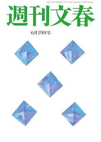 文藝増刊 スピン 創刊号～6巻 セット 61mvdLi7cGL._AC_SY200_QL15_.jpg