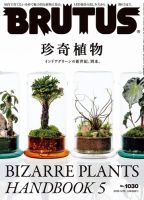 【最新入荷】 BRUTUS(ブルータス)の最新号【2025年5/15号 (発売日2025年05月01 その他