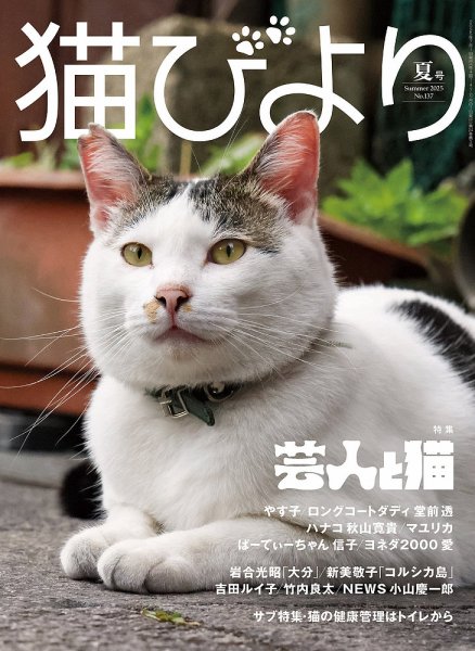 猫びより vol.137 2025年夏号 (発売日2025年06月12日) 表紙
