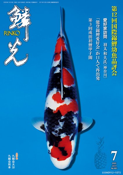 鱗光 2025年06月15日発売号 表紙
