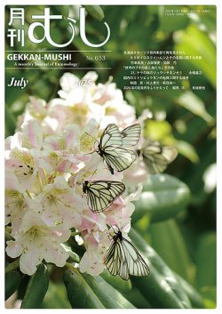 月刊むし 653 (発売日2025年06月25日) 表紙