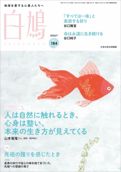 白鳩 No.184 (発売日2025年06月20日) 表紙