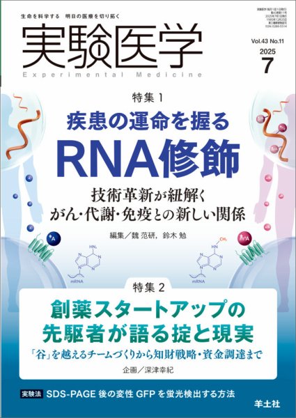 実験医学 Vol.43No.11 (発売日2025年06月20日) 表紙