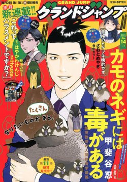 グランドジャンプ 2025年7/2号 (発売日2025年06月18日) 表紙