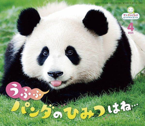 サンチャイルド・ビッグサイエンス 2025年4月号 (発売日2025年03月01日) 表紙