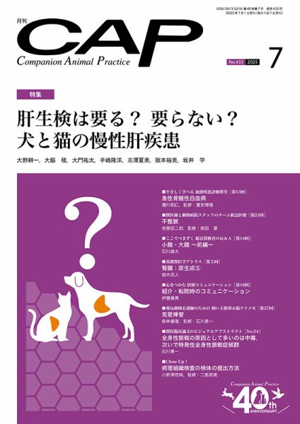 月刊CAP 2025年7月号 (発売日2025年07月01日) 表紙
