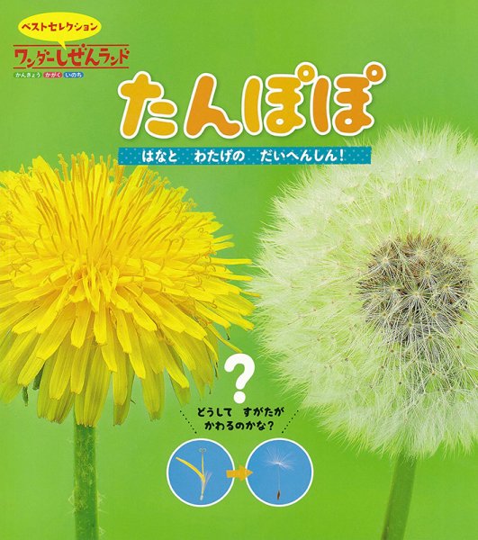 ワンダーしぜんランド 2025年4月号 (発売日2025年04月01日) 表紙