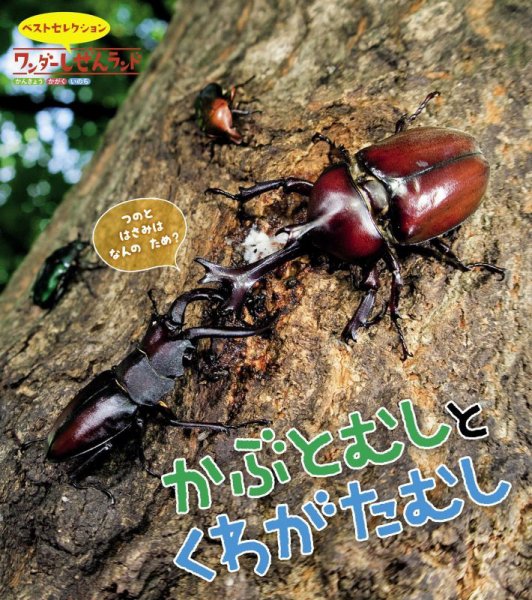 ワンダーしぜんランド 2025年7月号 (発売日2025年07月01日) 表紙