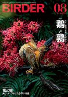 BIRDER（バーダー）の最新号【2025年8月号 (発売日2025年07月16