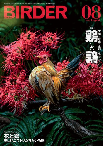 BIRDER（バーダー） 2025年8月号 (発売日2025年07月16日) 表紙