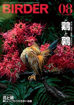 BIRDER（バーダー）｜定期購読17%OFF - 雑誌のFujisan