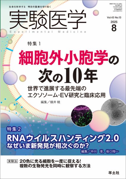 実験医学 Vol.43No.12 (発売日2025年07月20日) 表紙