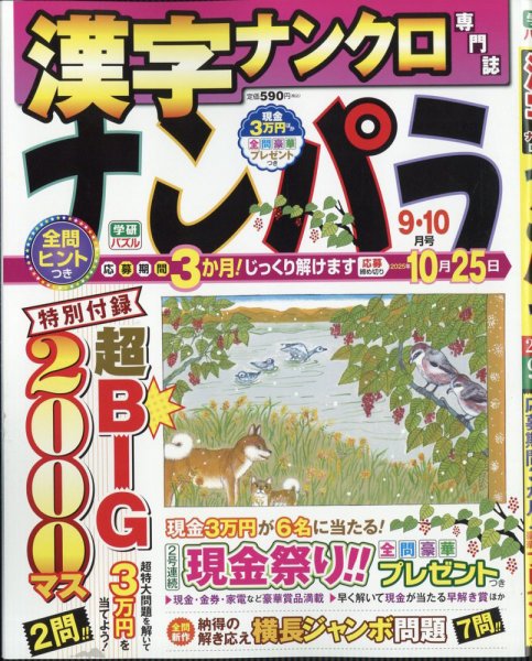 ナンパラ 2025年9月号 (発売日2025年07月26日) 表紙