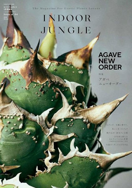 INDOOR JUNGLE No.04 (発売日2024年12月09日) 表紙