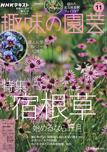NHK 趣味の園芸 2025年11月号 (発売日2025年10月21日) | 雑誌/電子書籍