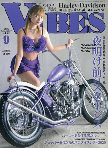 VIBES バイブズ ハーレーダビッドソン 2002年 1月から12月号 VIBES バイブズ ハーレーダビッドソン 2002年 1月から12月号