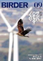 birder 24冊セット(2022年〜2023年度分) 2025年最新】birder バーダーの人気アイテム - メルカリ
