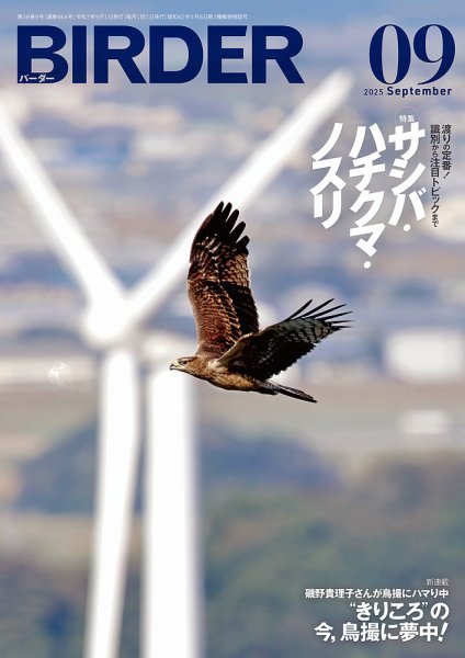 BIRDER（バーダー） 2025年9月号 (発売日2025年08月16日) 表紙