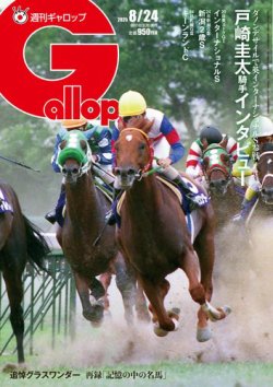 Gallop重賞年鑑 全巻セット（1987年-2023年、計37冊） Gallop JRA重賞年鑑1987年～2023年 37冊