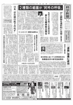 科学新聞 2025年08月22日発売号 表紙