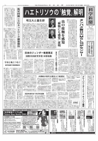 科学新聞 2025年10月10日発売号 表紙
