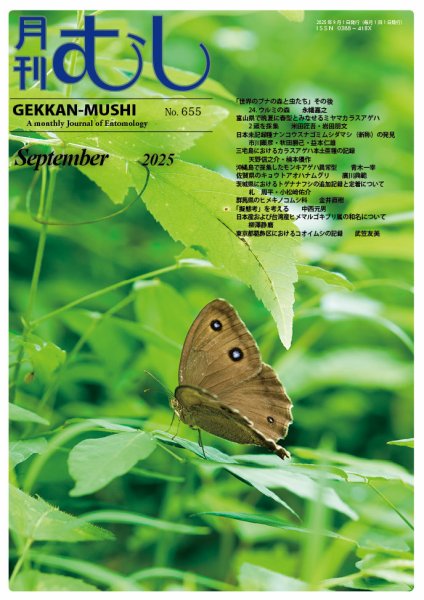 月刊むし 655 (発売日2025年08月21日) 表紙