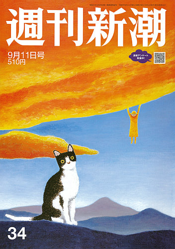 新潮　1994年9月号 新潮 1994年9月号 新潮 1994年9月号