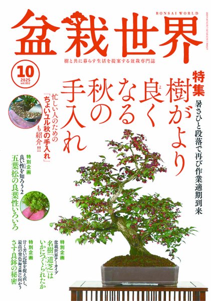 盆栽世界 2025年10月号 (発売日2025年09月04日) 表紙