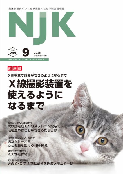 NJK Vol.289 (発売日2025年09月01日) 表紙