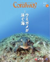 EXIT 2019年頃の雑誌切り抜き・チラシセット 100点以上まとめ EXIT 2019年頃の雑誌切り抜き・チラシセット 100点以上まとめ