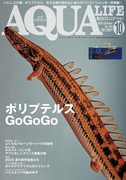 アクアライフ 10月号 (発売日2025年09月11日) 表紙