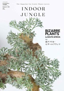 INDOOR JUNGLE No.05 (発売日2025年03月03日) 表紙